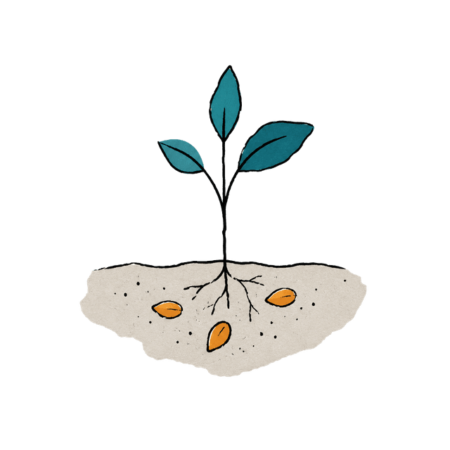 An illustrated seedling growing from soil with seeds beneath.